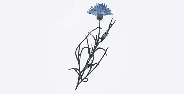 Flowers of War brooch no. 181 Cornflower 2018