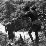 Papuan porters carry heavy loads of supplies