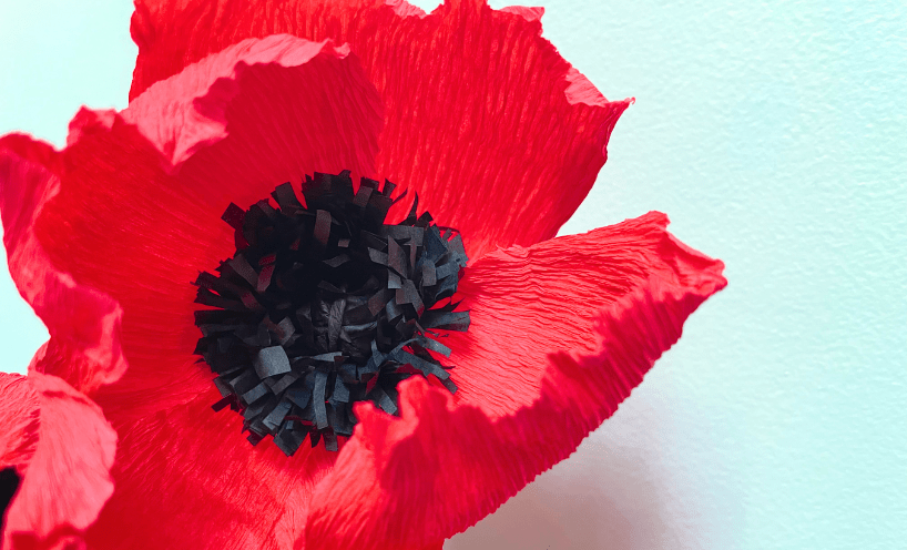 A red paper poppy with a black paper centre against a white backdrop.