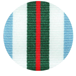 A sample of the INTERFET medal