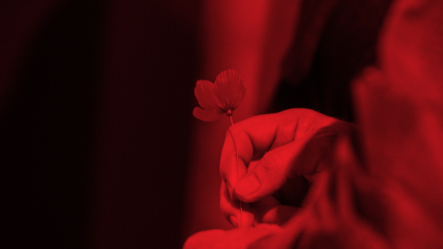 Holding a poppy in remembrance